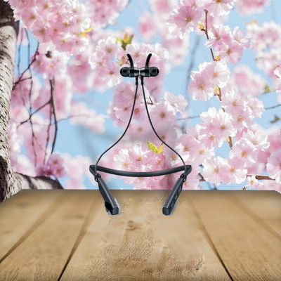 GPQ STORE Rokerz 235 Pro Wireless Bluetooth Neckband(0.1179 Bluetooth(Black, In the Ear)