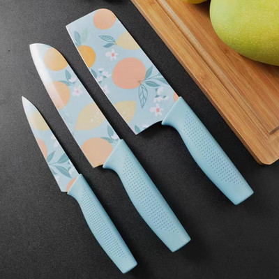 Ashlok 3 Pc Stainless Steel Knife Set with Blue Color Printing and Non-Slip Handle