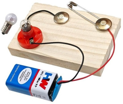 ERHIndia Simple Electric Circuit Project Grade 6 Educational Science Experiment Educational Electronic Hobby Kit