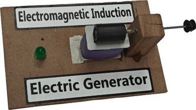 ERHIndia Electricity Generator Generation Science Project 10 12 Class Working Model(Multicolor)