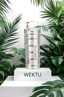 stainless steel 5box container tiffin pack of 1 5 Containers Lunch Box(250 ml) 5 Containers Lunch Box(250 ml)
