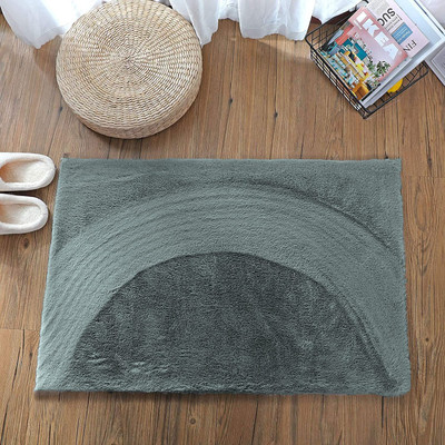 F i Polyester Door Mat(Seige, Small)