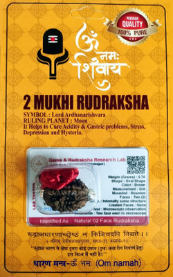 Robin Export Company 2 Mukhi Nepali Rudraksha two Faced Nepali Rudraksha With Certificate Lab Test Sterling Silver Beads Wood