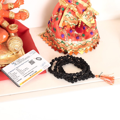 SPYRONIX REAL TREASURE Authentic 5 Mukhi Black Rudraksha Prayer Beads (108 + 1 Beads) With Certificate Wood Necklace