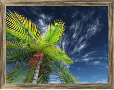 Artzfolio Palm Tree Towards The Sky Canvas Painting Antique Golden Frame 23.7x18inch Canvas 18 inch x 23.7 inch Painting(With Frame)