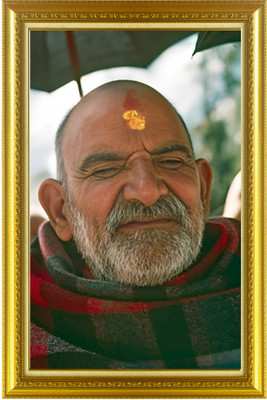 Diyansh Enterprises Neema Kroli baba Religious Frame