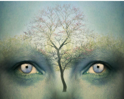 Pitaara Box Fantasy Background Representing A Two Human Eyes And A Tree Unframed Wall Art Painting Print Canvas 20 inch x 25.2 inch Painting(Without Frame)