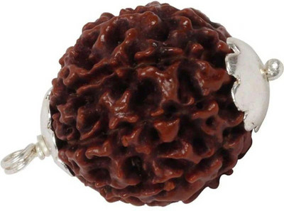 Shivtantra 8 Mukhi Rudraksha Pendant 10-11 MM Indonesia Certified Wood Pendant