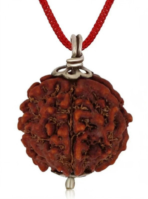 Anandam 5 Mukhi Rudraaksh Nepali Origin 20mm Plus size Wood Pendant