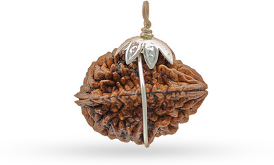 BHAGYA G 2 Mukhi/Two Mukhi/ Rudraksha Origional With Lab Certified, Shiv Shakti Beads Beads Wood Pendant