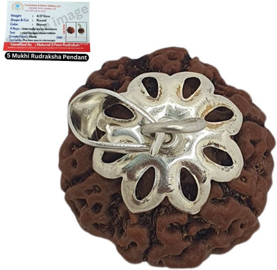 Kuttumb Gems & Jewels 5 Mukhi Rudraksha Five face Panchmukhi Rudraksha Nepali with Lab Certificate Brass, Wooden Yantra