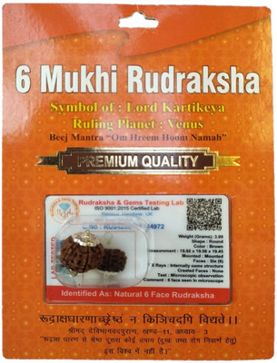 Shivtantra 6 Mukhi Rudraksha Original Certified Lab Test & X-ray Report Sterling Silver Wood Pendant