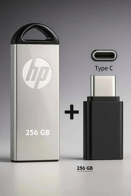 HP V229 256 GB Pen Drive(Black, Silver)