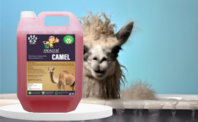 swacch Camel Shampoo I Smooth & Shine Shampoo For Camel Conditioning Strawberry Dog Shampoo(5 L)
