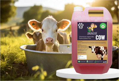 swacch Cow Shampoo I Smooth & Shine Shampoo For Cow I Conditioning Jasmine Cow Shampoo(5 L)
