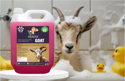 swacch Goat Shampoo I Soft & Shine Hair Shampoo For Goat Conditioning Rose Dog Shampoo(5 L)