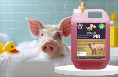 swacch Pig Shampoo I Smooth & Shine Shampoo For Pig Conditioning Jasmine Dog Shampoo(5 L)
