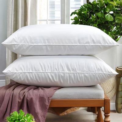 EIRINI LUXURY Microfibre Solid Sleeping Pillow Pack of 2(White)