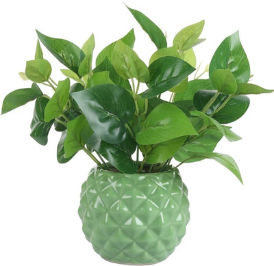 agarwals enterprises Plant Container Set(Ceramic)