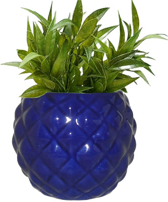 Gupta Blue Anar Round Ceramic Pot Size 4x5inch GH0012_1-01 Plant Container Set(Ceramic)