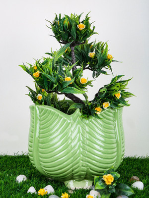 Justoriginals Small Gobhi Shape Flower Pot (Color:Green) Plant Container Set(Ceramic)