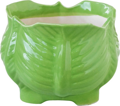 SHREE Ceramic Cabbage pot for indoor plants Plant Container Set(Ceramic)