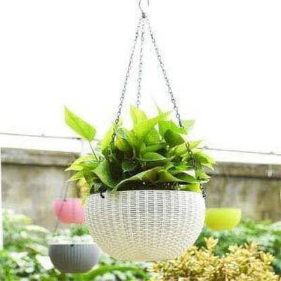 VirajSanchi Plant Container Set(Pack of 3, Plastic)