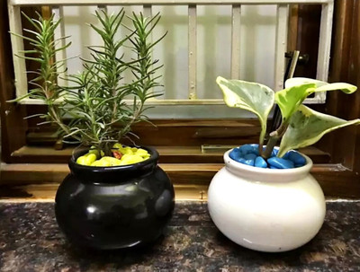SBC SMALL MATKI SHAPE CERAMIC POT Plant Container Set(Pack of 2, Ceramic)