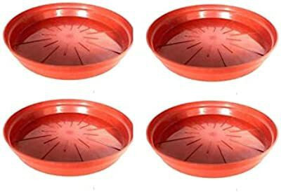 VirajSanchi Virajsanchi Plant Container Set(Pack of 4, Plastic)