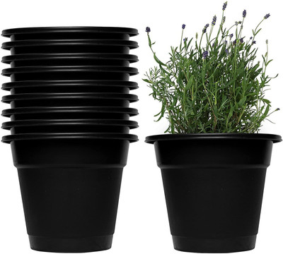 CRAPS 6 Inch Plastic Round Nursery Planter Pot Home/Office/Table/Garden/Balcony Decoration Plant Container Set(Pack of 10, Plastic)