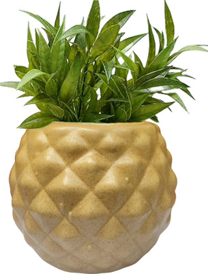 Gupta Golden Anar Round Ceramic Pot Size 4x5inch GH0012_1-03 Plant Container Set(Ceramic)