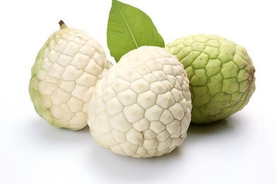 Bakuchi Custard Apple Plant(Hybrid, Pack of 1)