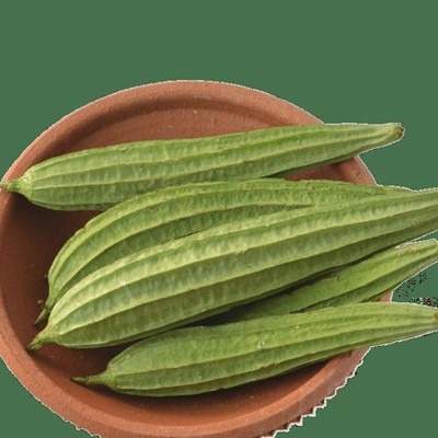 MAMONI TRADERS Ridge Gourd Seeds, Organic Seeds For Gardening, toree, Chinese okra Hybird Seed(50 per packet)