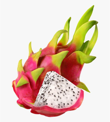 Agacha Dragon Tree(Hybrid, Pack of 1)