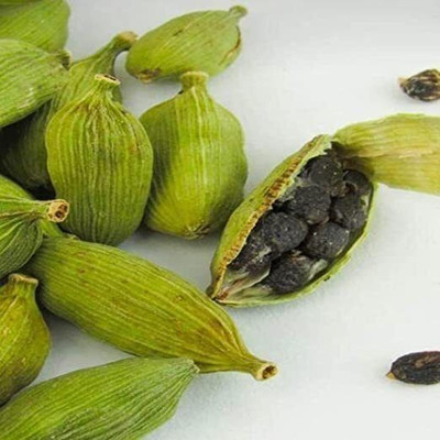 Bakuchi Elaichi/Cardamom Plant(Hybrid, Pack of 1)