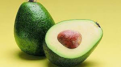 greenhousestore Avocado Plant(Hybrid, Pack of 1)