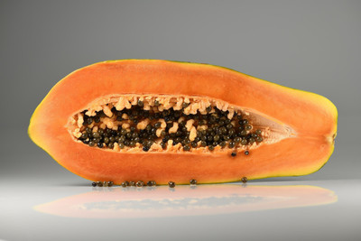 MAMONI TRADERS hybrid red lady papaya seeds/papaya seeds 25 Seed(50 per packet)