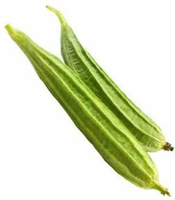 MAMONI TRADERS Ridge Gourd Seed, RG - 27 Organic Seed, Vegetable Seed for Gardening / Farming Seed(50 per packet)