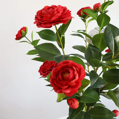 LeafLinkPlants Rose Plant(Hybrid, Pack of 1)