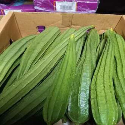 MAMONI TRADERS Ridge Gourd Seeds, Organic Seeds For Gardening, toree, Chinese okra Hybird Seed(50 per packet)