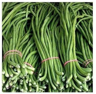 MAMONI TRADERS BEANS Seed(50 per packet)