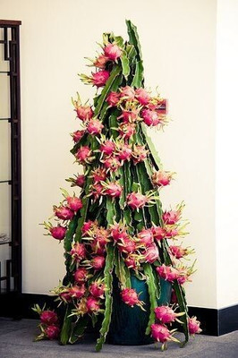 rimi Dragon Tree(Hybrid, Pack of 1)