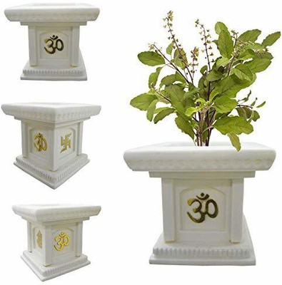 MAITRA AND SONS Tulsi Plant(Hybrid, Pack of 1)