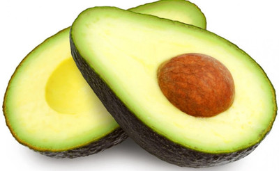 Bakuchi Avocado Plant(Hybrid, Pack of 1)