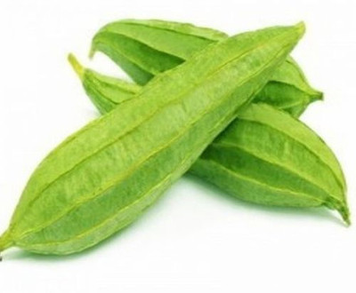 MAMONI TRADERS Ridge Gourd Seeds, Organic Seeds For Gardening, toree, Chinese okra Hybird Seed(50 per packet)