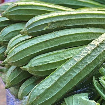 MAMONI TRADERS Ridge Gourd Seeds, Organic Seeds For Gardening, toree, Chinese okra Hybird Seed(50 per packet)