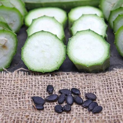 MAMONI TRADERS Ridge Gourd Seed, RG-35 Organic Seed For Vegetable Gardening, Ridge Gourd Hybird Seed(50 per packet)