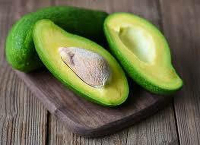 Bakuchi Avocado Plant(Hybrid, Pack of 1)