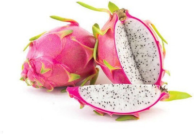 Oxygreenplant Dragon Tree(Hybrid, Pack of 1)