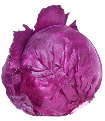 Mozette Hybrid Cabbage Red Seed(70 per packet)